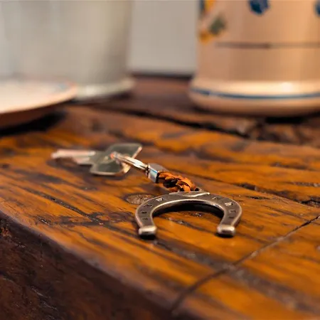 Alchimia Luxury منتجع *