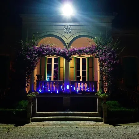 Alchimia Luxury *
